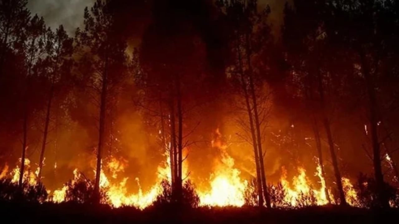 Foto - Siz Türk devletine kurban olun: Fransa afetzedeleri ortada bıraktı!