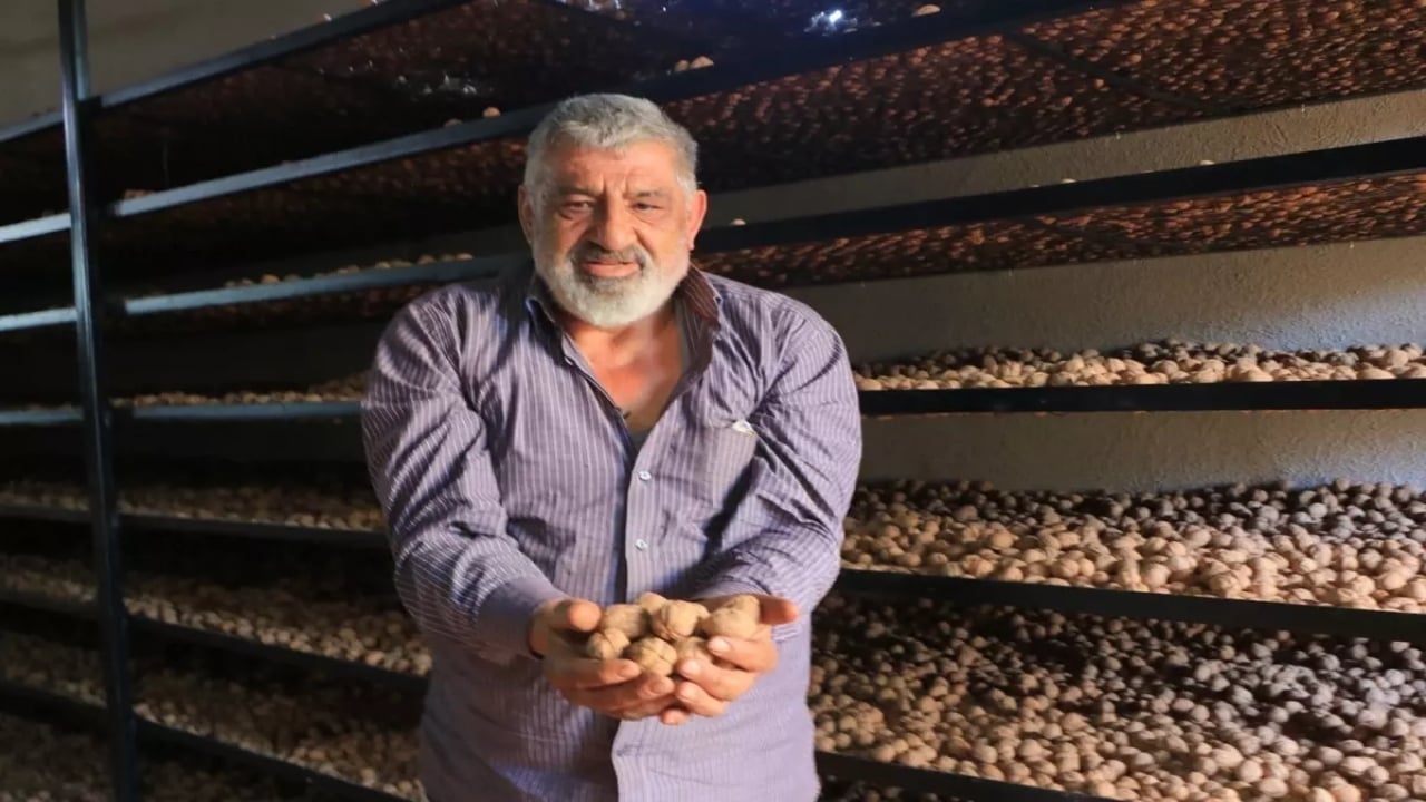 Foto - Fransa’daki kazancı solda sıfır kaldı! Gurbetçi serveti tarlasında buldu