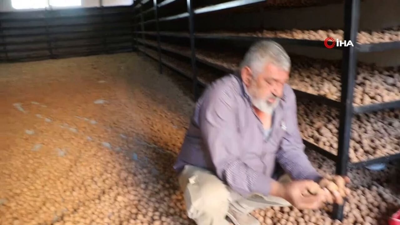 Foto - Fransa’daki kazancı solda sıfır kaldı! Gurbetçi serveti tarlasında buldu