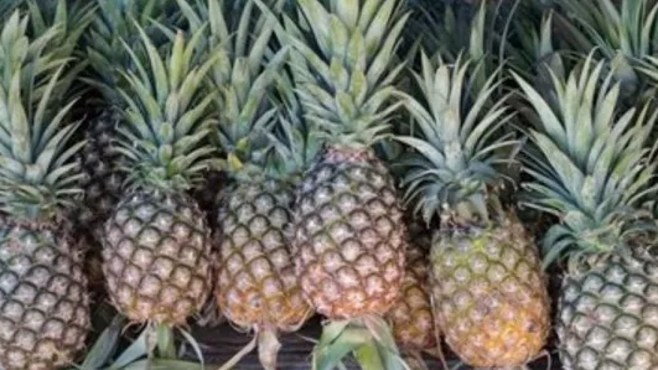 Foto - Fruktoz faktörüne dikkat: Ananas fazla tüketildiğinde zararlı olur mu?