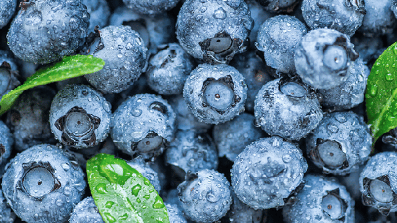 Foto - Fundagillerden, insülinin karşısında nöbet tutuyor! Dikkat çekici bir meyve! Ciddi bir zararı yoktur ama...