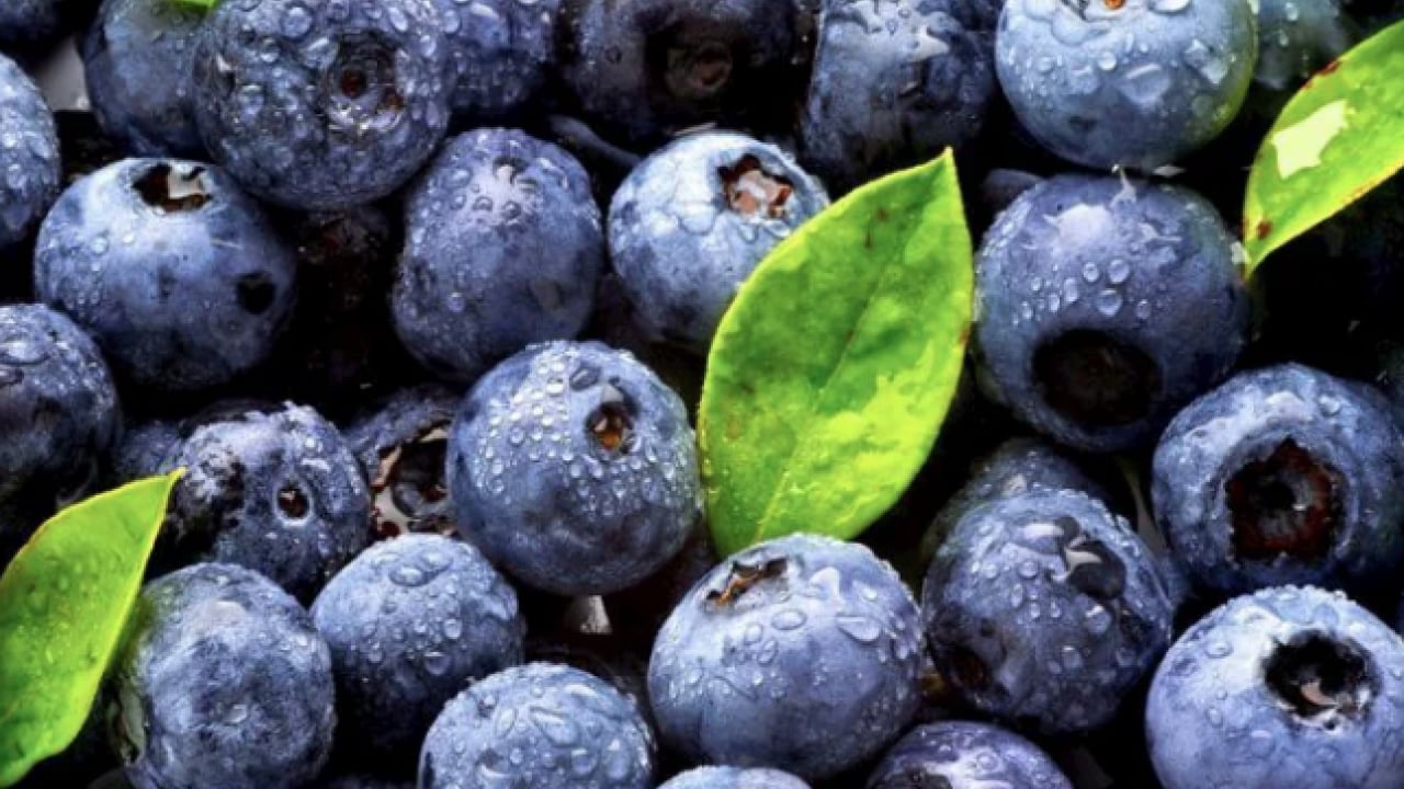 Fundagillerden, insülinin karşısında nöbet tutuyor! Dikkat çekici bir meyve! Ciddi bir zararı yoktur ama...