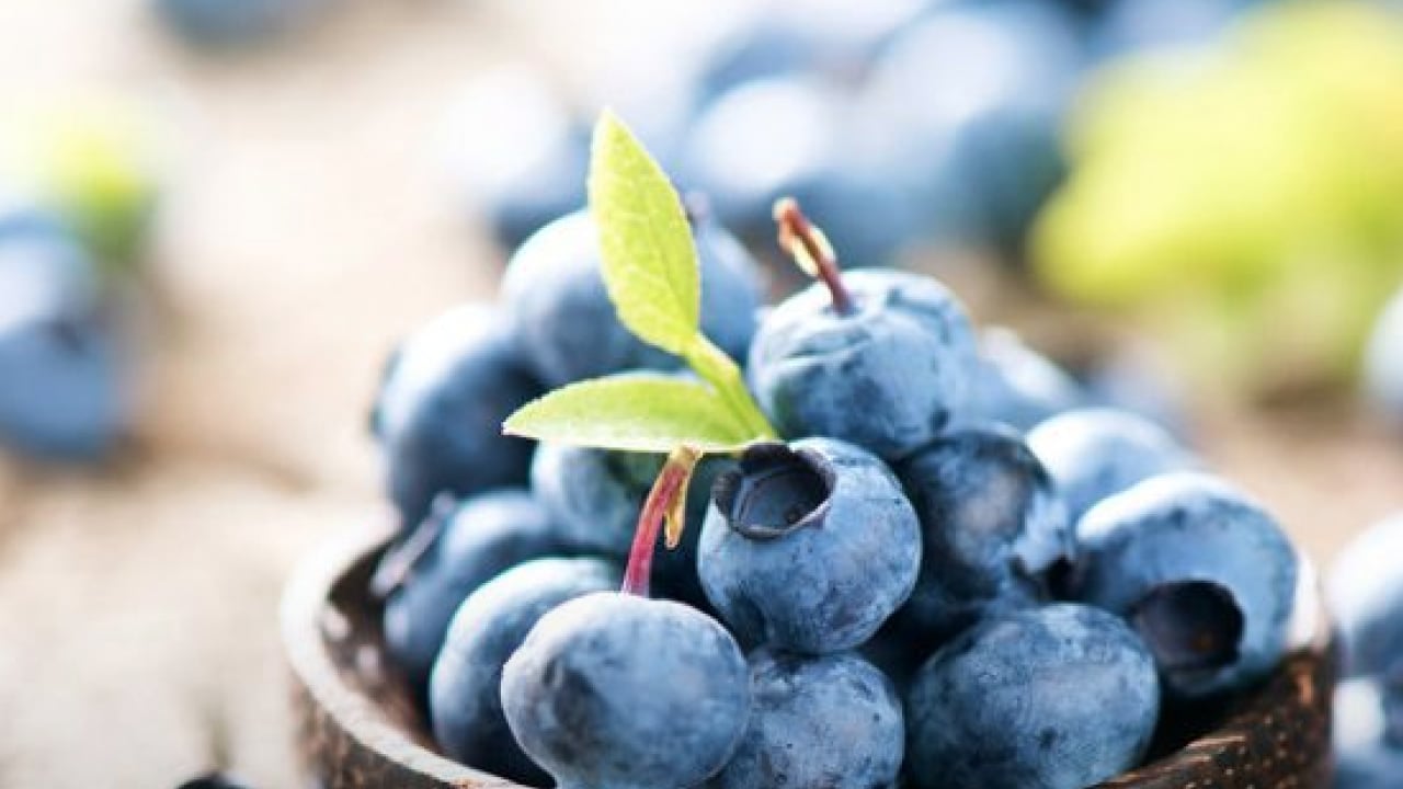 Foto - Fundagillerden, insülinin karşısında nöbet tutuyor! Dikkat çekici bir meyve! Ciddi bir zararı yoktur ama...