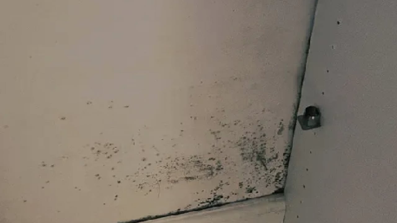 Foto - Gardıroptaki küf kokusunu yok eden öyle bir şey ki şaşırtacak: Rutubeti şıp diye kesiyor!