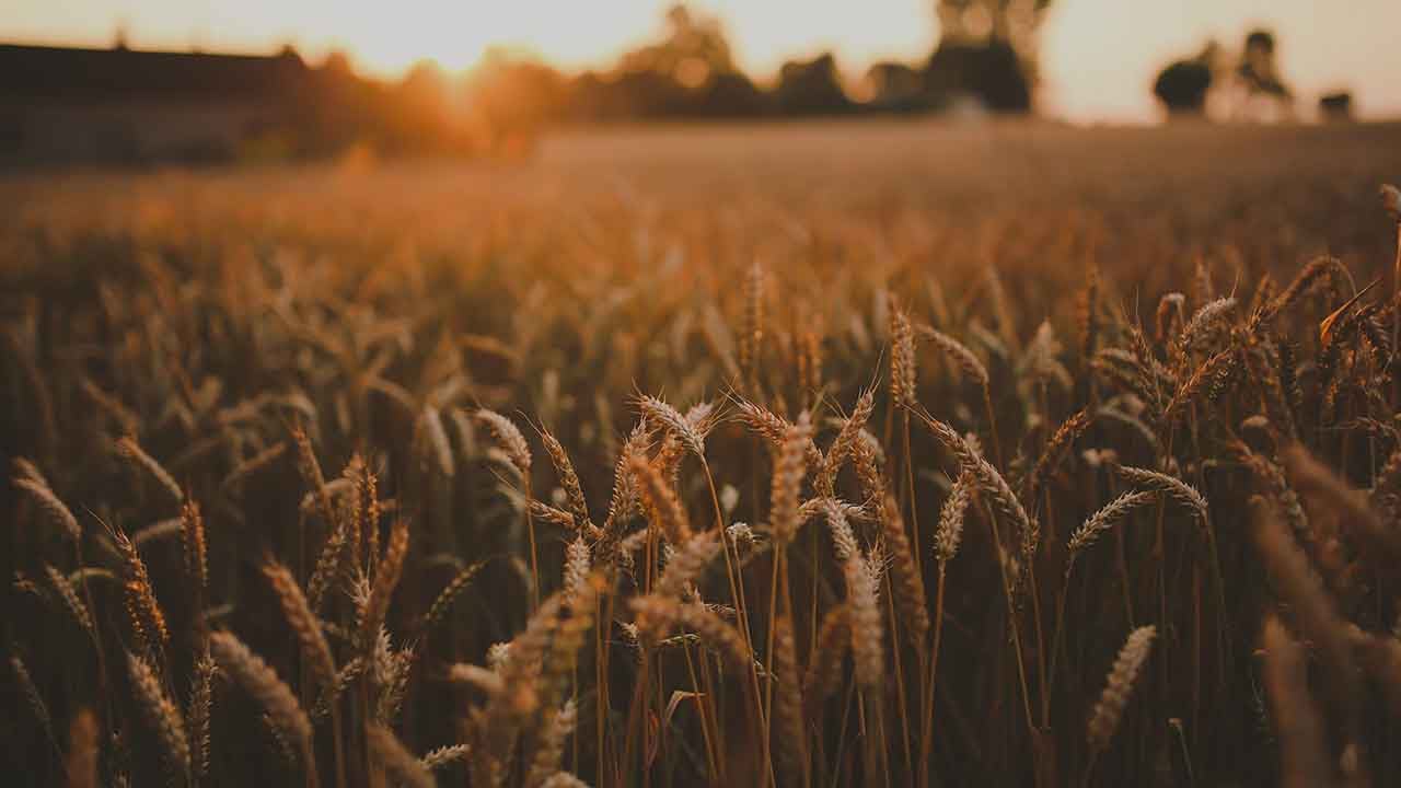 Foto - Gasp iddiaları gündemi sarsmıştı! Şok karar: Türkiye'nin yem kralının konkordato talebi reddedildi