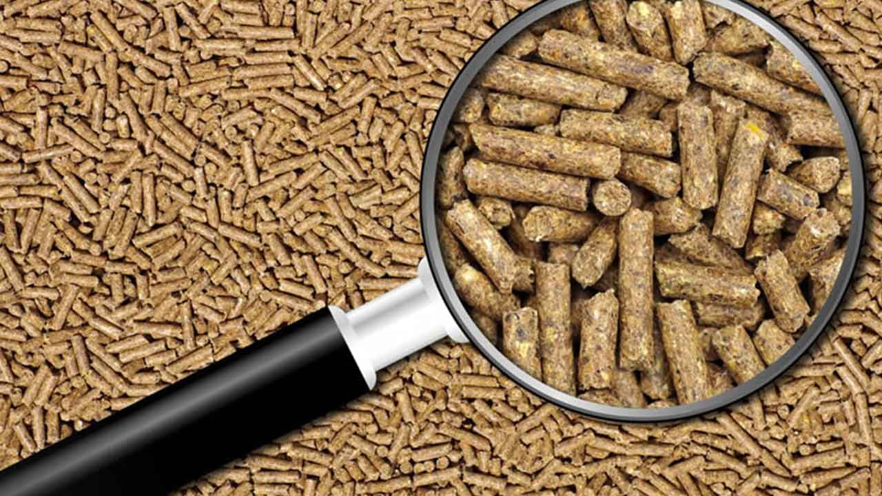 Foto - Gasp iddiaları gündemi sarsmıştı! Şok karar: Türkiye'nin yem kralının konkordato talebi reddedildi