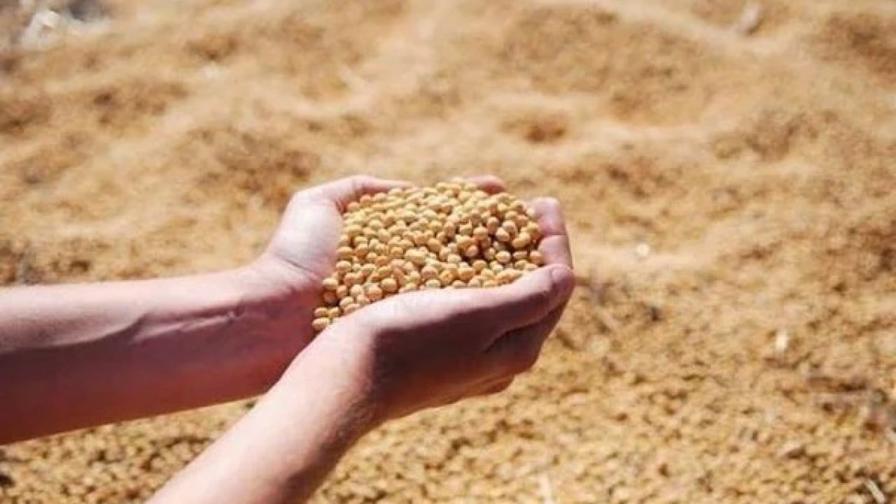 Foto - Gasp iddiaları gündemi sarsmıştı! Şok karar: Türkiye'nin yem kralının konkordato talebi reddedildi