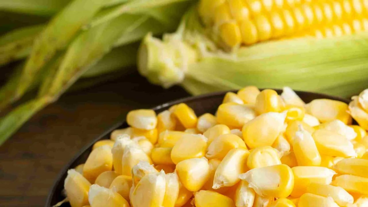 Foto - Gece atıştırmalıkları sağlıklı: Yok unutamam, mutlaka atıştırmam lazım diyorsanız yeter!