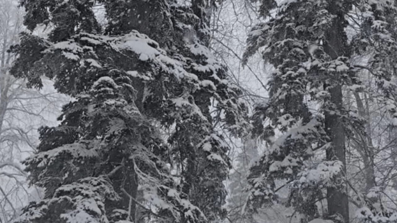 Foto - Gece başlayan yağış durmadan devam ediyor! O kent beyaza büründü