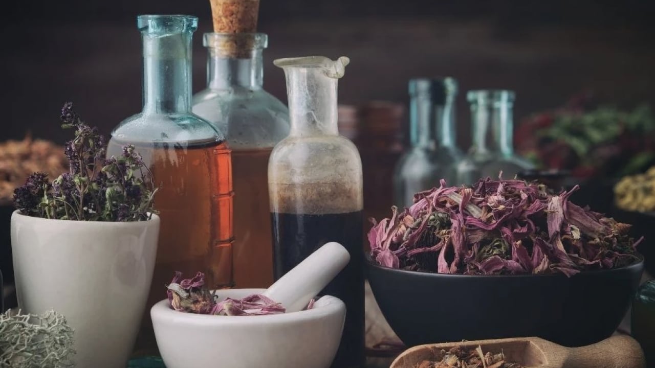 Foto - Ekinezya çayı içen mışıl mışıl uyuyor: Gece gündüz uyanık kalanlar: Anksiyeteyi yatıştırıyor! 