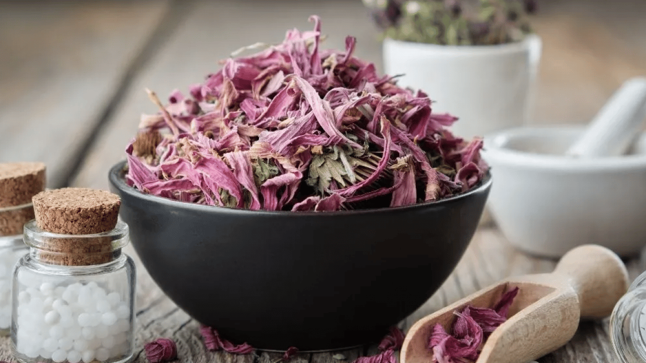 Ekinezya çayı içen mışıl mışıl uyuyor: Gece gündüz uyanık kalanlar: Anksiyeteyi yatıştırıyor! 