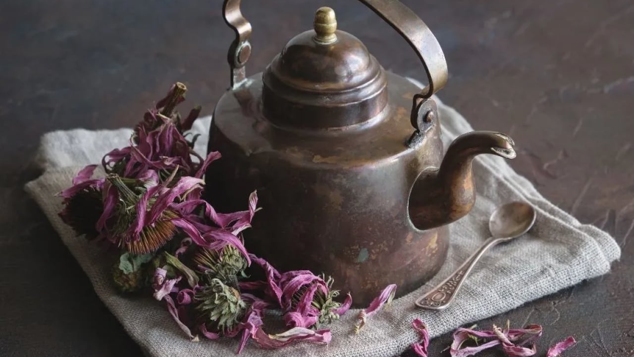 Foto - Ekinezya çayı içen mışıl mışıl uyuyor: Gece gündüz uyanık kalanlar: Anksiyeteyi yatıştırıyor! 