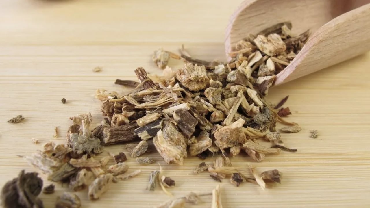 Foto - Ekinezya çayı içen mışıl mışıl uyuyor: Gece gündüz uyanık kalanlar: Anksiyeteyi yatıştırıyor! 