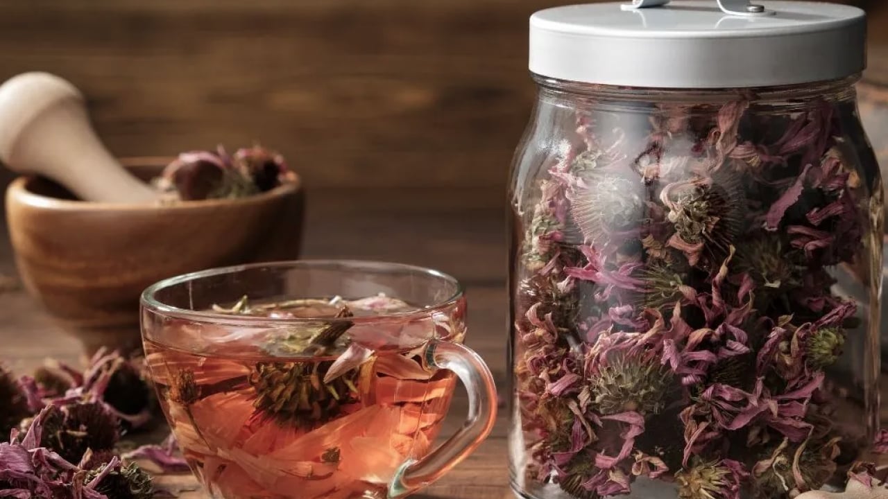 Foto - Ekinezya çayı içen mışıl mışıl uyuyor: Gece gündüz uyanık kalanlar: Anksiyeteyi yatıştırıyor! 