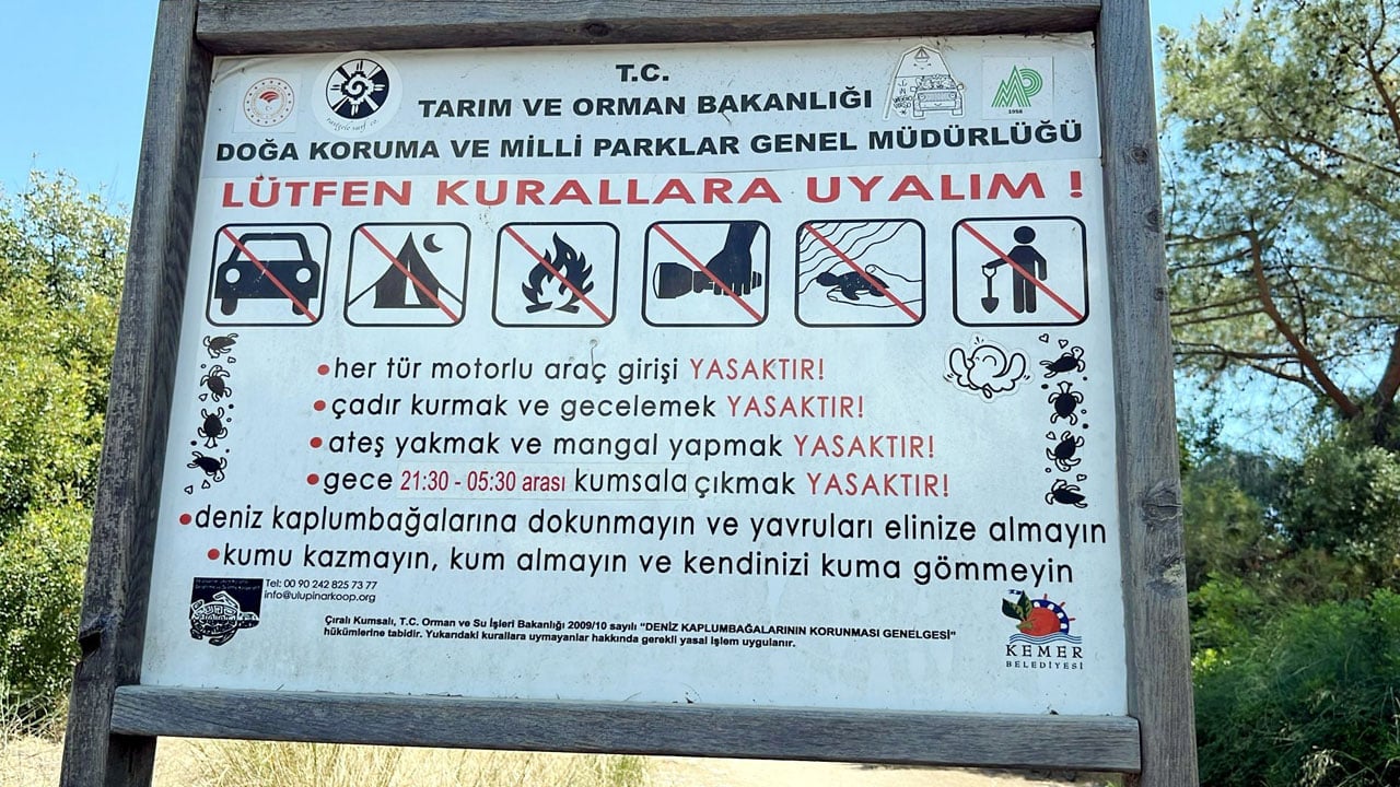 Foto - Gece kaplumbağaların, gündüz insanların! Bu kumsallara girmenin cezası 699 bin TL