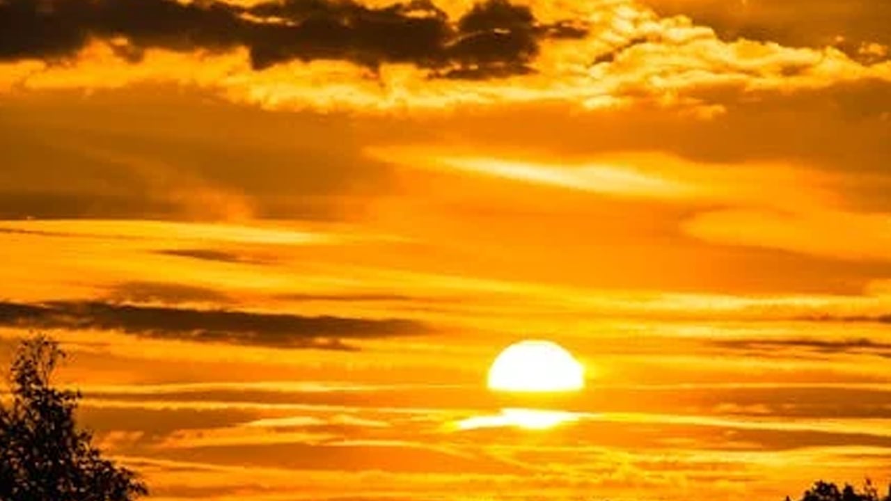 Foto - Sabah güneşi önerisi: Gece rahat uyku için 3 bitki! Uyku sorunu yaşayan mutlaka denesin