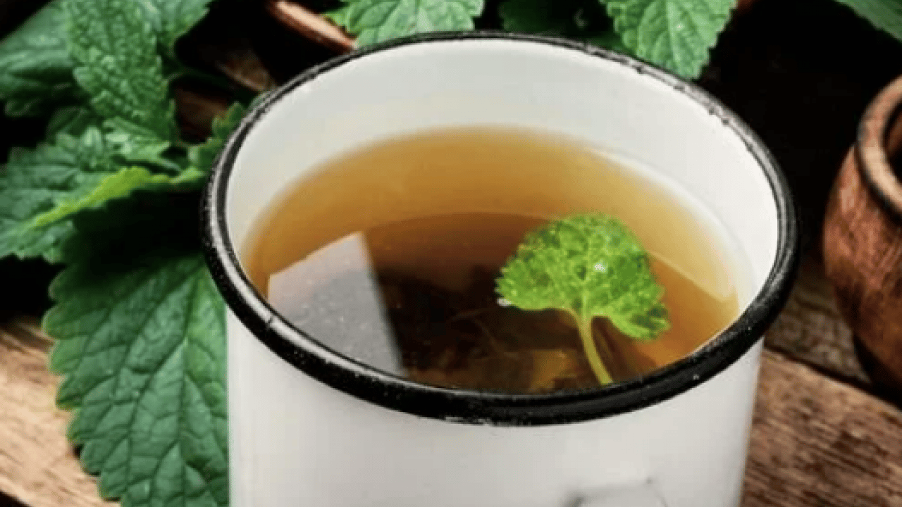 Foto - Sabah güneşi önerisi: Gece rahat uyku için 3 bitki! Uyku sorunu yaşayan mutlaka denesin