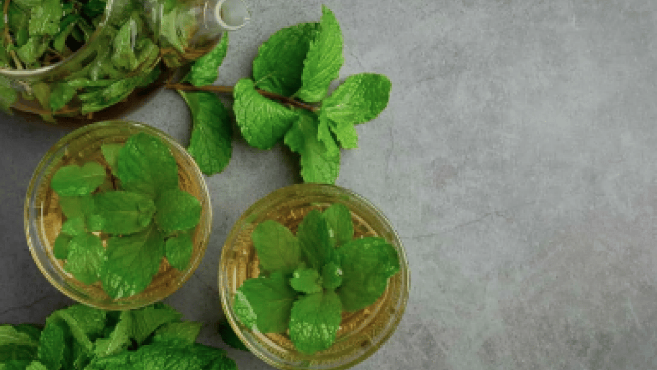 Foto - Sabah güneşi önerisi: Gece rahat uyku için 3 bitki! Uyku sorunu yaşayan mutlaka denesin