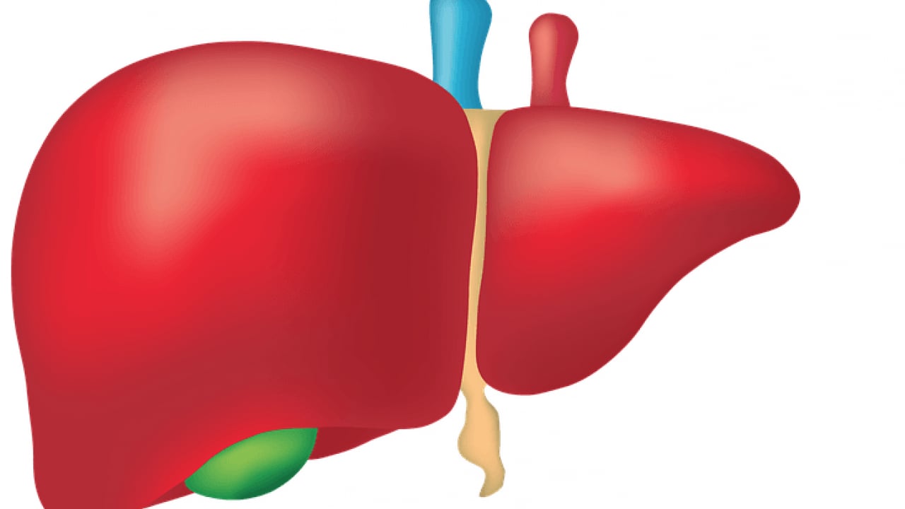 Foto - Gece yatmadan için karaciğeriniz temizlensin: Yatmadan önce içerseniz karaciğerlere bakın ne yapacak! Bunu takip edin