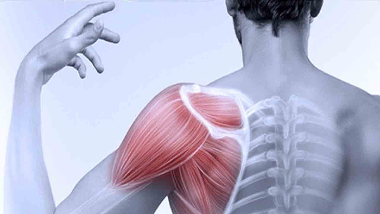 Foto - Geceleri başlayan omuz ağrısına dikkat: Donuk omuz sessizce hayatı kilitliyor