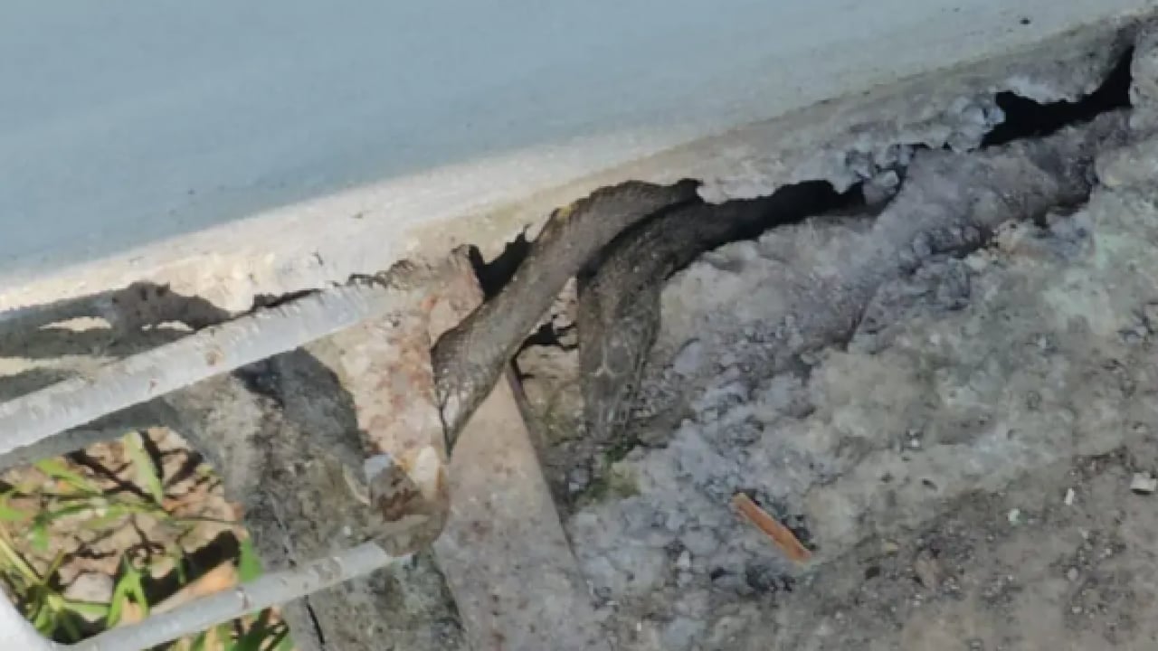 Foto - Geceleri korkudan uyuyamıyorlar! Bazıları 3 metre!
