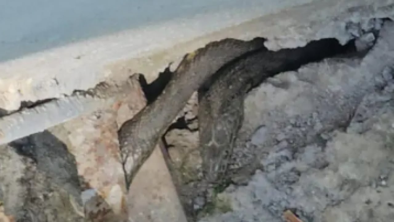 Foto - Geceleri korkudan uyuyamıyorlar! Bazıları 3 metre!
