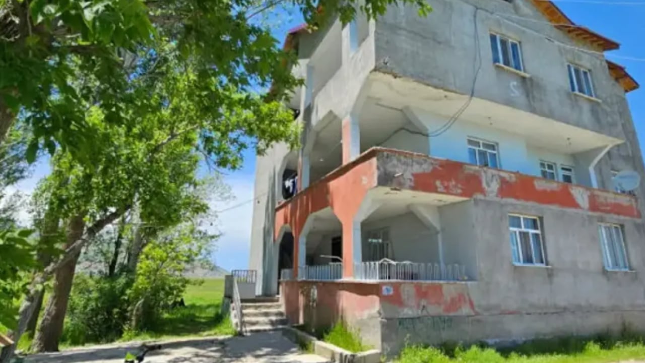 Geceleri korkudan uyuyamıyorlar! Bazıları 3 metre!