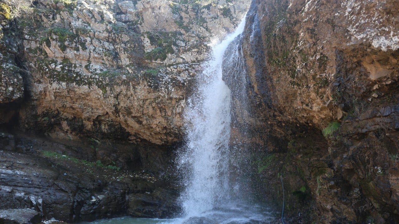 Foto - Geçen sene kurumuştu... Bu sene yüzleri güldürdü