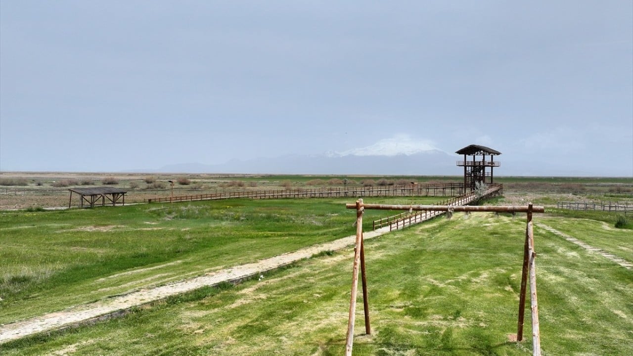 Foto - Geçen yıl çıkan iki yangında hasar görmüştü! Sultan Sazlığı şimdi ziyaretçilerini bekliyor