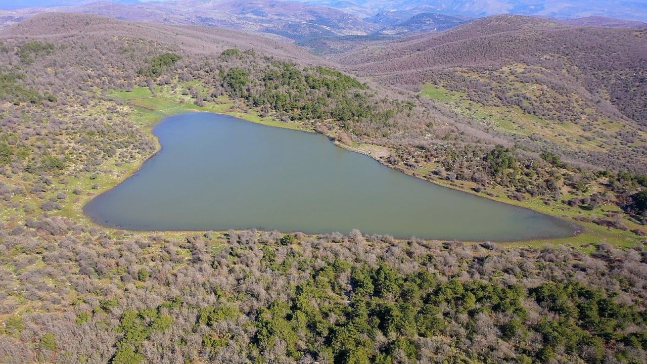 Foto - Geçen yıl tamamen kurumuştu... 'Çok şükür' dedirten görüntüler