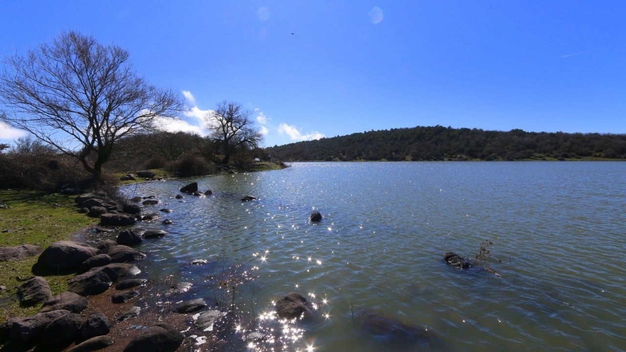 Foto - Geçen yıl tamamen kurumuştu... 'Çok şükür' dedirten görüntüler