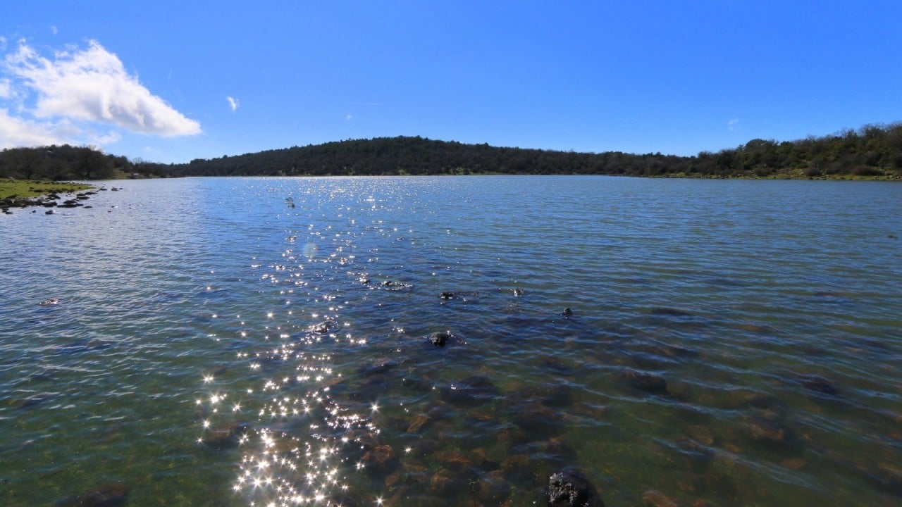 Foto - Geçen yıl tamamen kurumuştu... 'Çok şükür' dedirten görüntüler