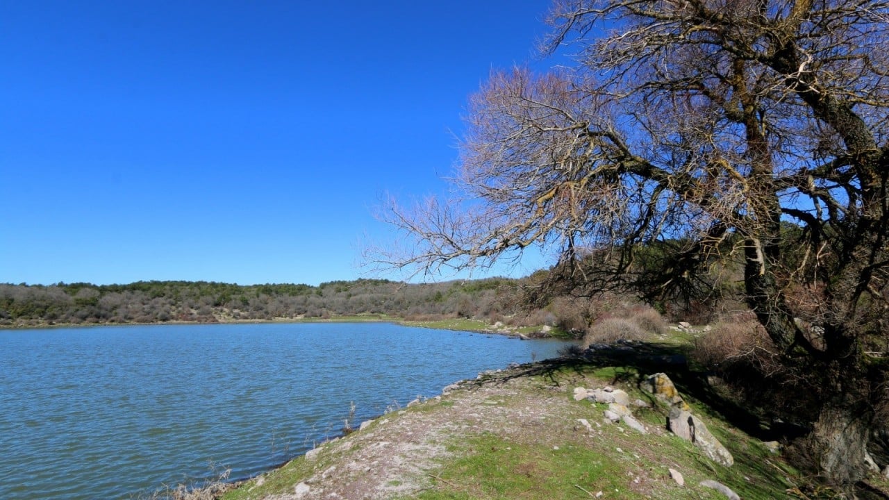 Foto - Geçen yıl tamamen kurumuştu... 'Çok şükür' dedirten görüntüler