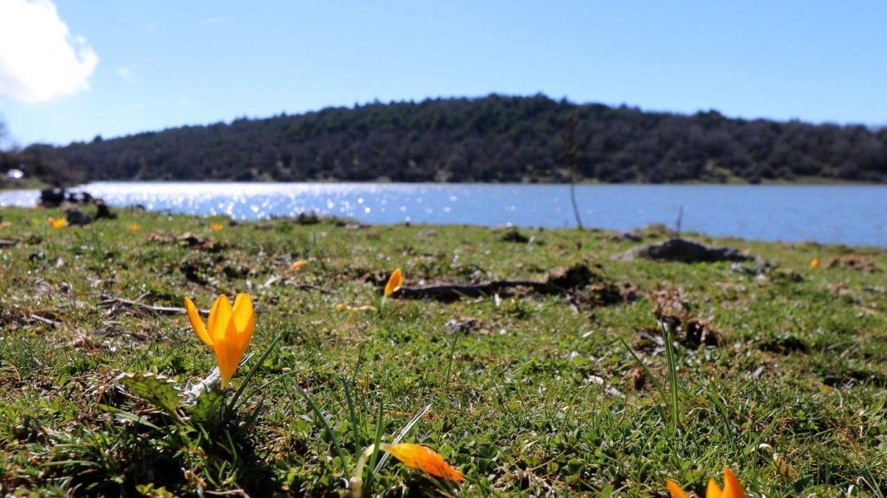 Foto - Geçen yıl tamamen kurumuştu... 'Çok şükür' dedirten görüntüler