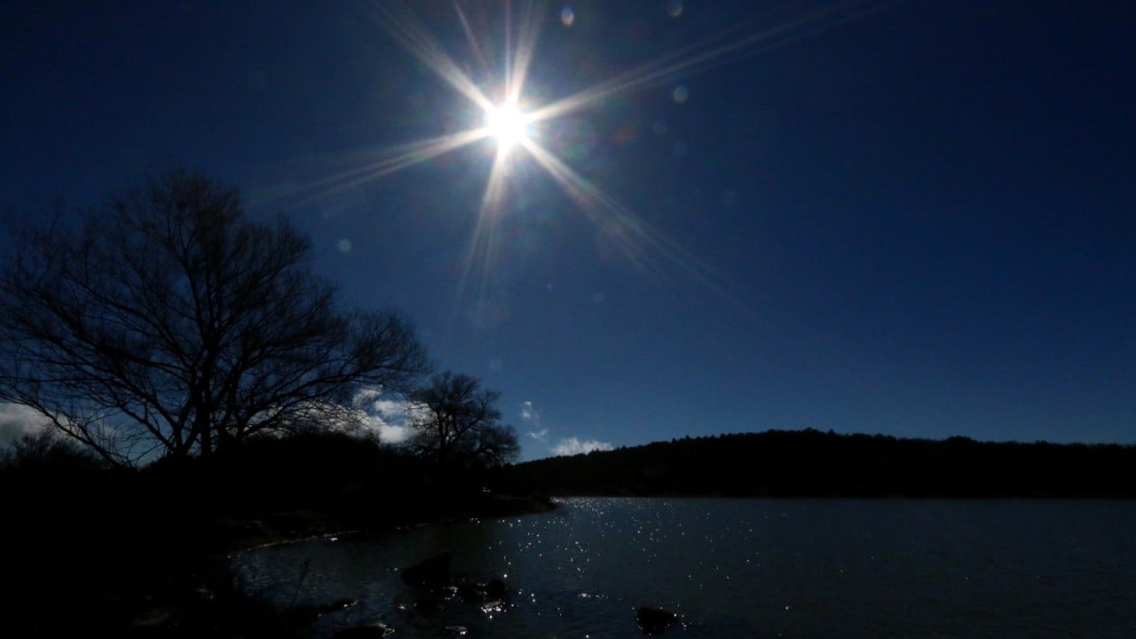 Foto - Geçen yıl tamamen kurumuştu... 'Çok şükür' dedirten görüntüler