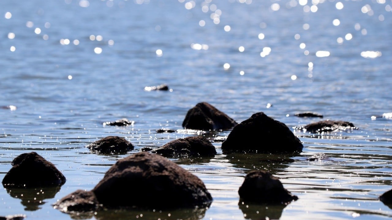 Foto - Geçen yıl tamamen kurumuştu... 'Çok şükür' dedirten görüntüler