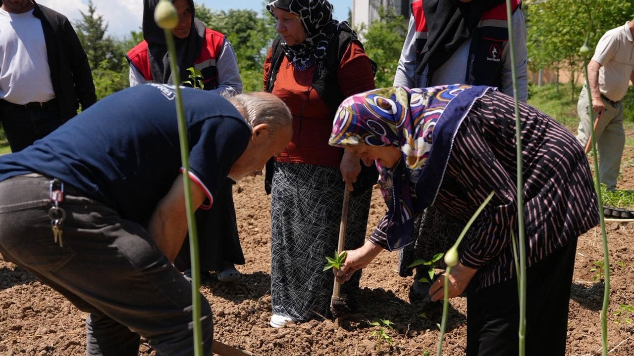 Foto - Geçmişle gelecek aynı bahçede! Ata tohumları yaşlıların ellerinde filizlendi