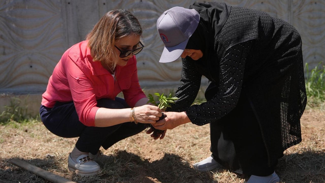 Foto - Geçmişle gelecek aynı bahçede! Ata tohumları yaşlıların ellerinde filizlendi