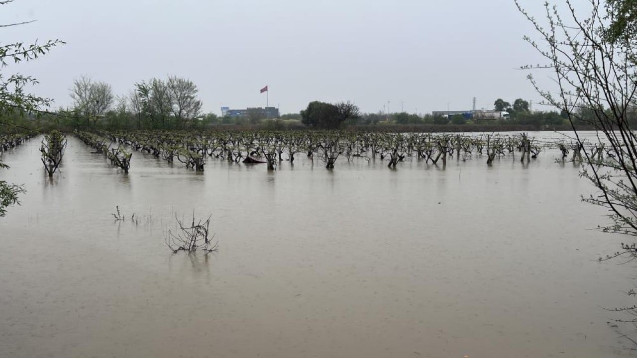 Foto - Gediz taşkını yerleşim bölgelerini tehdit ediyor