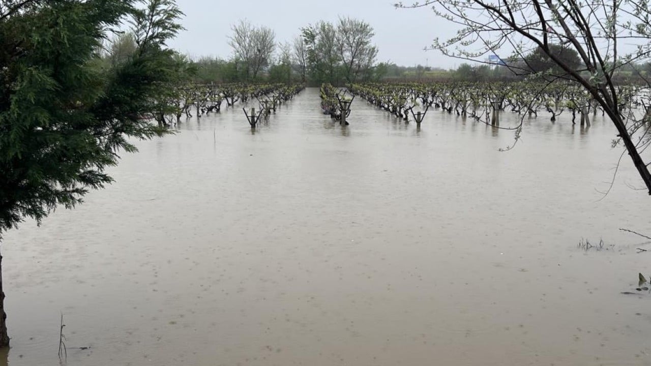 Foto - Gediz taşkını yerleşim bölgelerini tehdit ediyor
