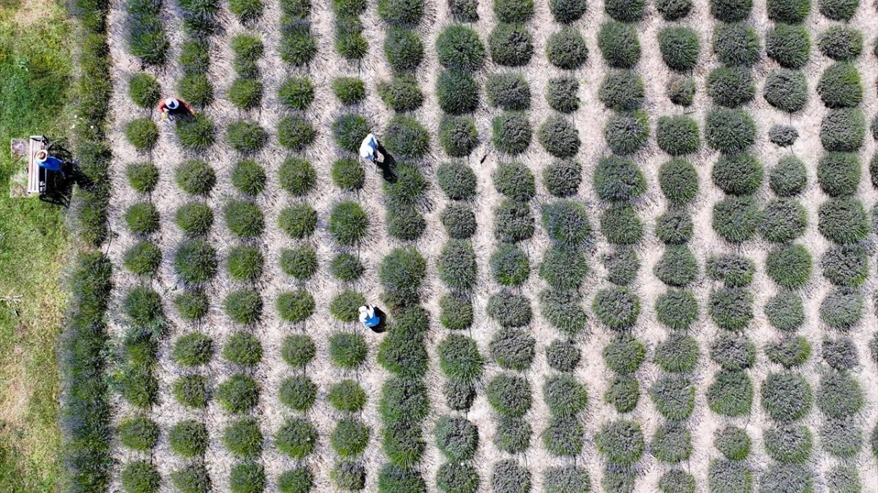 Foto - Geleceğin mesleği olacak Genç ziraatçiler tarıma el koyacak