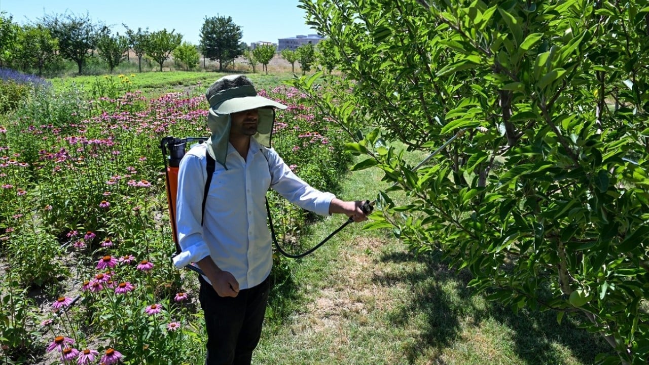 Foto - Geleceğin mesleği olacak Genç ziraatçiler tarıma el koyacak