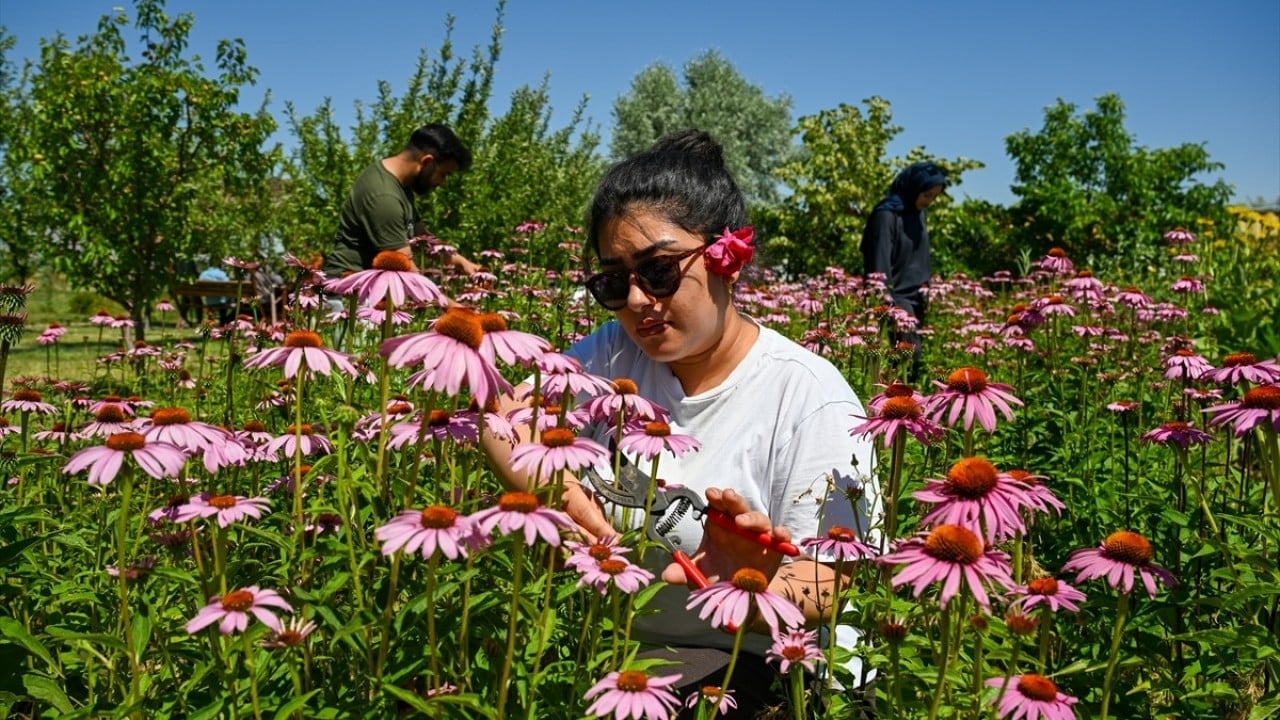 Foto - Geleceğin mesleği olacak Genç ziraatçiler tarıma el koyacak