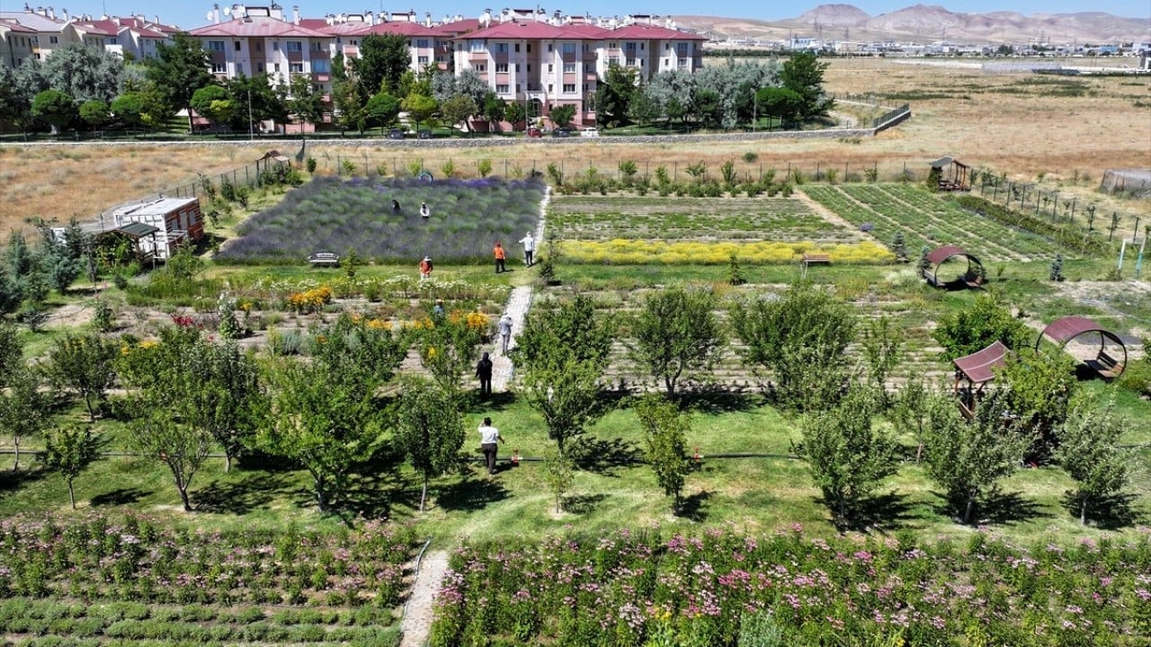 Foto - Geleceğin mesleği olacak Genç ziraatçiler tarıma el koyacak