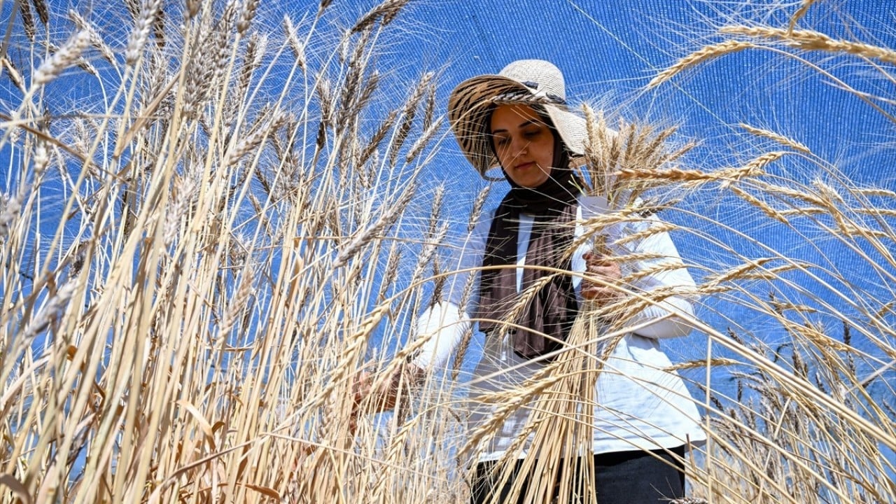 Foto - Geleceğin mesleği olacak Genç ziraatçiler tarıma el koyacak