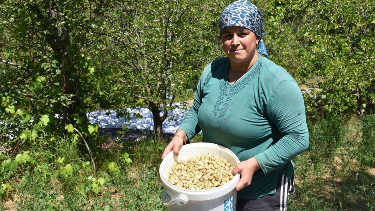 Foto - Geleneksel yöntemlerle yapılıyor! Dut pekmezi üreticilere ek gelir kapısı oldu