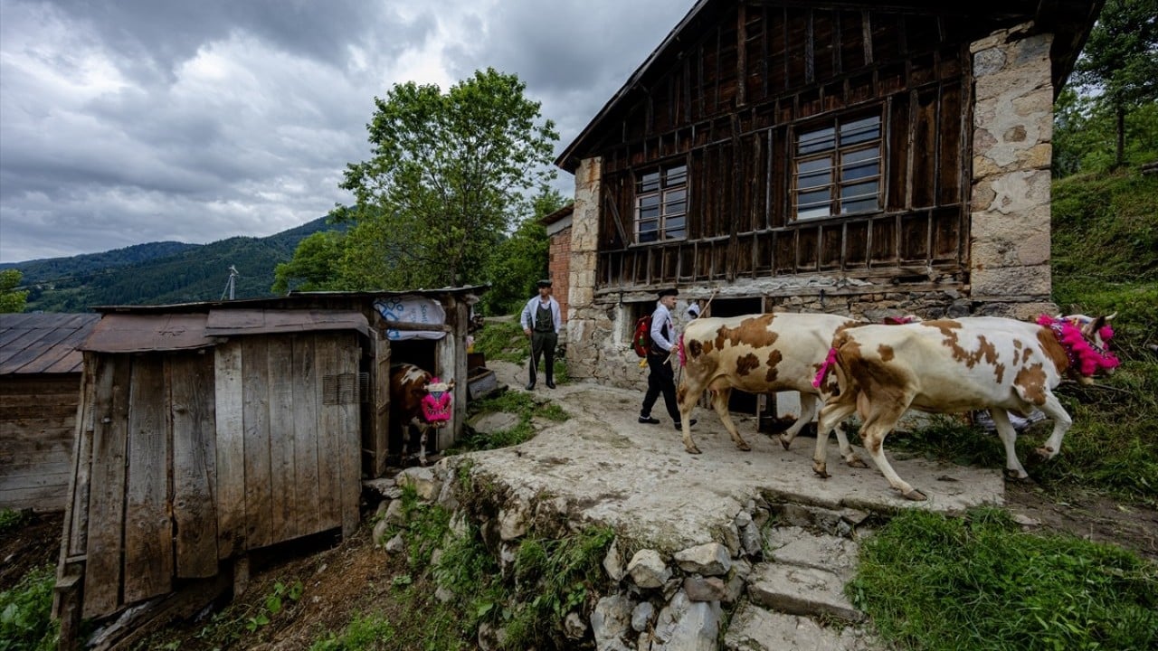 Foto - Geleneksel yürüyüş Süslenip yaylaya çıkıyorlar