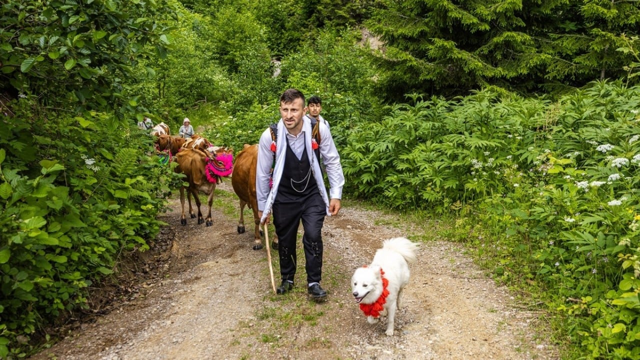 Foto - Geleneksel yürüyüş Süslenip yaylaya çıkıyorlar