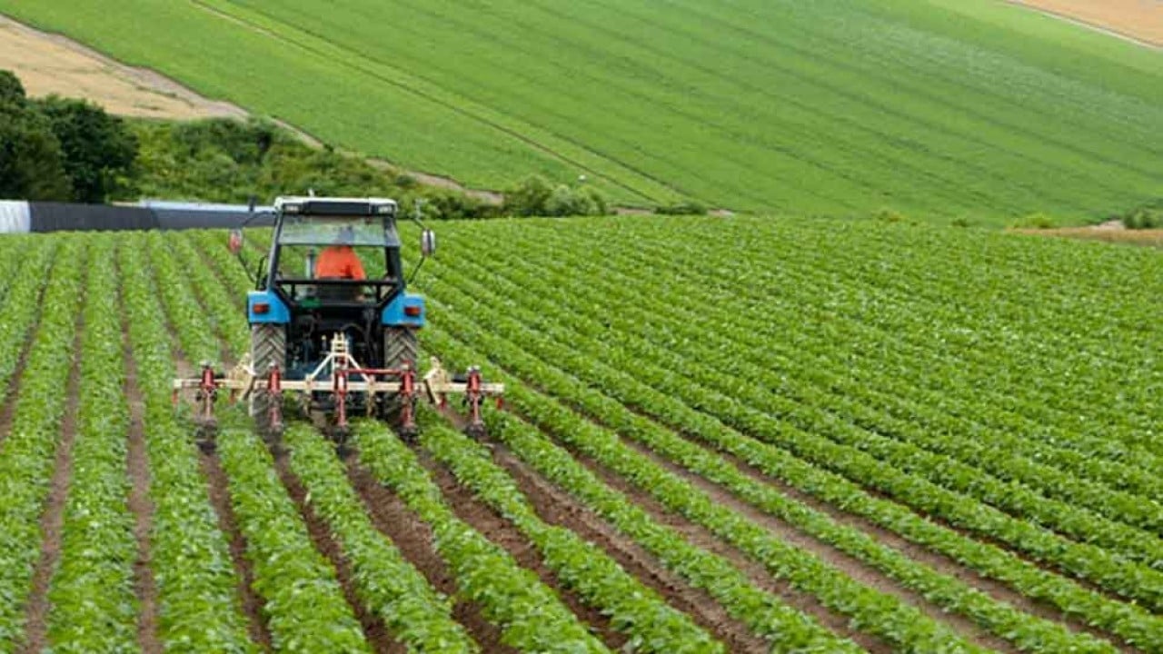 Foto - Gen kopyalayıp bitki üretiyorlardı! Türkiye'nin tarım deviyle ilgili şok karar alındı