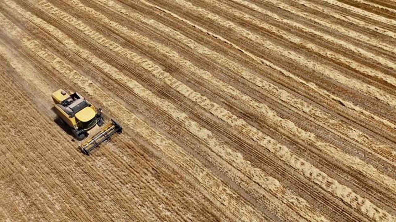 Foto - Gen kopyalayıp bitki üretiyorlardı! Türkiye'nin tarım deviyle ilgili şok karar alındı